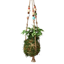 Load image into Gallery viewer, Bead Kokedama Moss Ball Hanging Plant