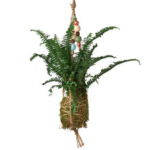 Load image into Gallery viewer, Bead Kokedama Moss Ball Hanging Plant