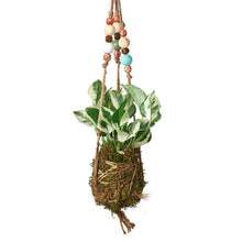 Load image into Gallery viewer, Bead Kokedama Moss Ball Hanging Plant