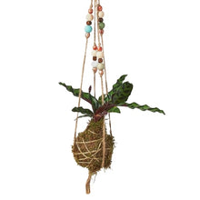 Load image into Gallery viewer, Bead Kokedama Moss Ball Hanging Plant